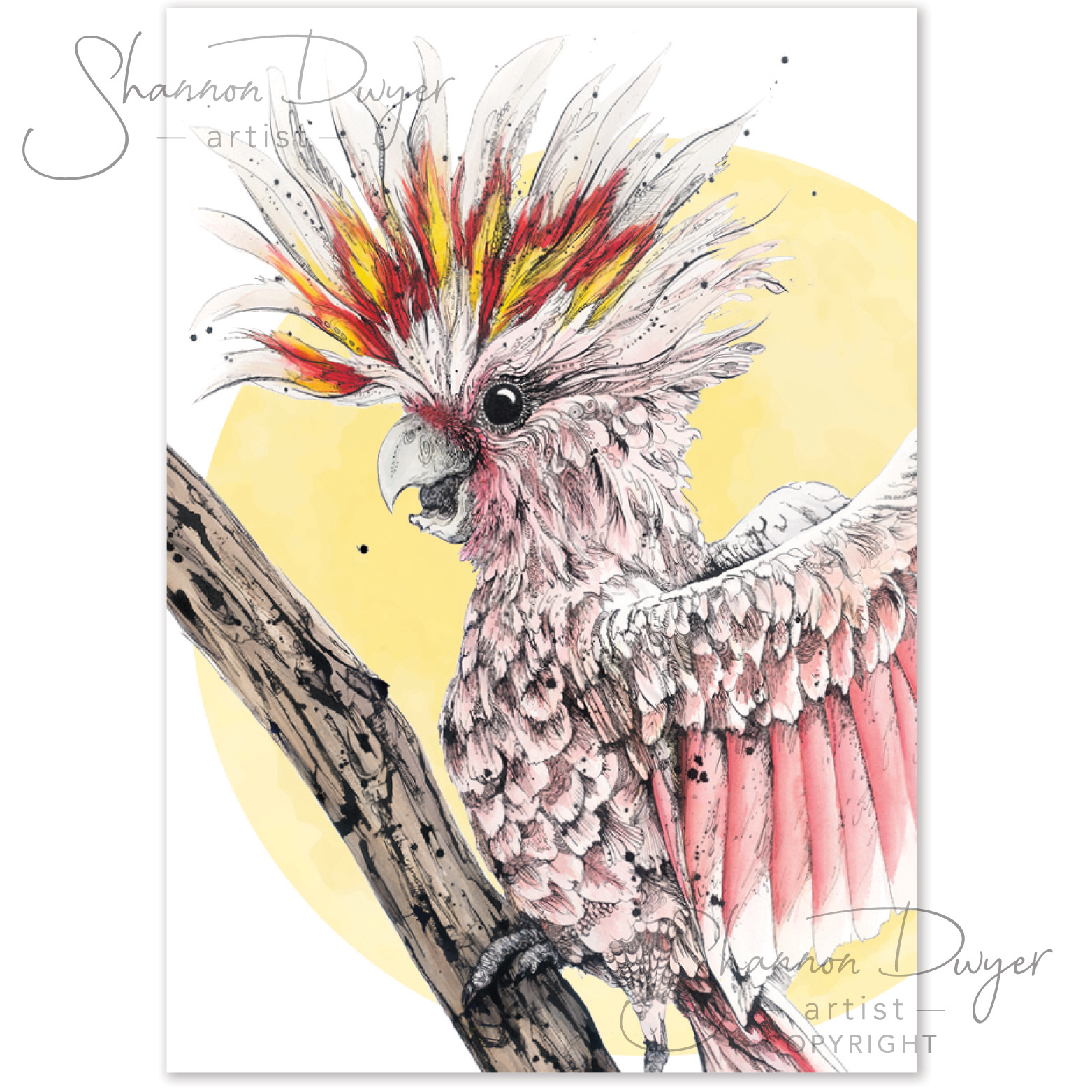 'Frankie' POP Greeting Card artwork of a Pink Cockatoo by Shannon Dwyer Artist