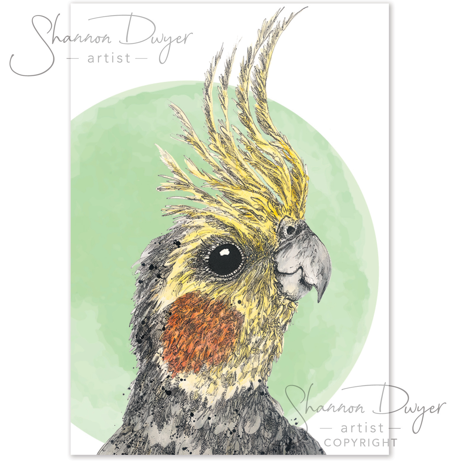 'Chirpy' POP Greeting Card artwork of a Cockatiel by Shannon Dwyer Artist