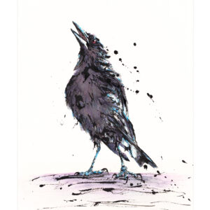 Original artwork of an Australian Magpie in ink and watercolour by Shannon Dwyer